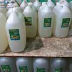 Các loại nước rửa chén phổ biến trên thị trường